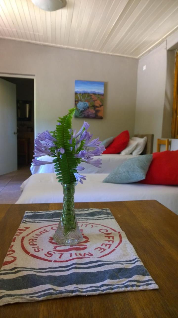 Artkaroo Stay Oudtshoorn Eksteriør billede